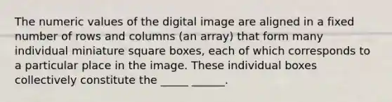 The numeric values of the digital image are aligned in a fixed number of rows and columns (an array) that form many individual miniature square boxes, each of which corresponds to a particular place in the image. These individual boxes collectively constitute the _____ ______.