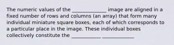 The numeric values of the ______________ image are aligned in a fixed number of rows and columns (an array) that form many individual miniature square boxes, each of which corresponds to a particular place in the image. These individual boxes collectively constitute the ____________ _____________