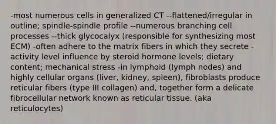 -most numerous cells in generalized CT --flattened/irregular in outline; spindle-spindle profile --numerous branching cell processes --thick glycocalyx (responsible for synthesizing most ECM) -often adhere to the matrix fibers in which they secrete -activity level influence by steroid hormone levels; dietary content; mechanical stress -in lymphoid (lymph nodes) and highly cellular organs (liver, kidney, spleen), fibroblasts produce reticular fibers (type III collagen) and, together form a delicate fibrocellular network known as reticular tissue. (aka reticulocytes)