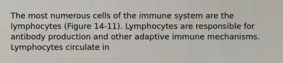 The most numerous cells of the immune system are the lymphocytes (Figure 14-11). Lymphocytes are responsible for antibody production and other adaptive immune mechanisms. Lymphocytes circulate in