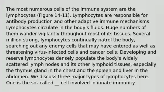 The most numerous cells of the immune system are the lymphocytes (Figure 14-11). Lymphocytes are responsible for antibody production and other adaptive immune mechanisms. Lymphocytes circulate in the body's fluids. Huge numbers of them wander vigilantly throughout most of its tissues. Several million strong, lymphocytes continually patrol the body, searching out any enemy cells that may have entered as well as threatening virus-infected cells and cancer cells. Developing and reserve lymphocytes densely populate the body's widely scattered lymph nodes and its other lymphoid tissues, especially the thymus gland in the chest and the spleen and liver in the abdomen. We discuss three major types of lymphocytes here. One is the so- called __ cell involved in innate immunity.