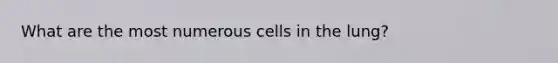 What are the most numerous cells in the lung?