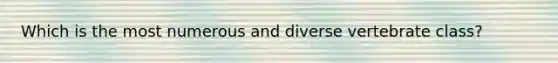 Which is the most numerous and diverse vertebrate class?