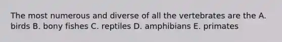 The most numerous and diverse of all the vertebrates are the A. birds B. bony fishes C. reptiles D. amphibians E. primates