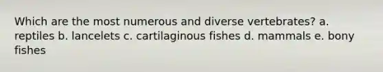 Which are the most numerous and diverse vertebrates? a. reptiles b. lancelets c. cartilaginous fishes d. mammals e. bony fishes