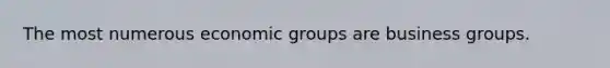 The most numerous economic groups are business groups.