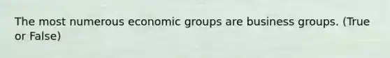 The most numerous economic groups are business groups. (True or False)