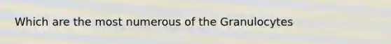 Which are the most numerous of the Granulocytes