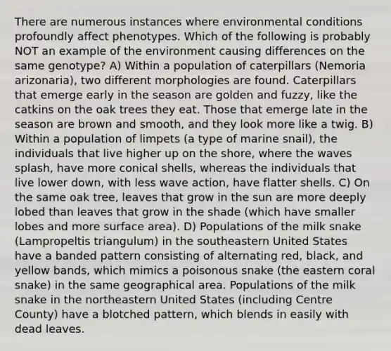 There are numerous instances where environmental conditions profoundly affect phenotypes. Which of the following is probably NOT an example of the environment causing differences on the same genotype? A) Within a population of caterpillars (Nemoria arizonaria), two different morphologies are found. Caterpillars that emerge early in the season are golden and fuzzy, like the catkins on the oak trees they eat. Those that emerge late in the season are brown and smooth, and they look more like a twig. B) Within a population of limpets (a type of marine snail), the individuals that live higher up on the shore, where the waves splash, have more conical shells, whereas the individuals that live lower down, with less wave action, have flatter shells. C) On the same oak tree, leaves that grow in the sun are more deeply lobed than leaves that grow in the shade (which have smaller lobes and more <a href='https://www.questionai.com/knowledge/kEtsSAPENL-surface-area' class='anchor-knowledge'>surface area</a>). D) Populations of the milk snake (Lampropeltis triangulum) in the southeastern United States have a banded pattern consisting of alternating red, black, and yellow bands, which mimics a poisonous snake (the eastern coral snake) in the same geographical area. Populations of the milk snake in the northeastern United States (including Centre County) have a blotched pattern, which blends in easily with dead leaves.