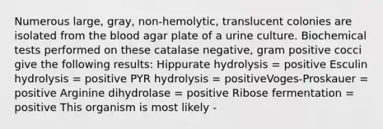 Numerous large, gray, non-hemolytic, translucent colonies are isolated from the blood agar plate of a urine culture. Biochemical tests performed on these catalase negative, gram positive cocci give the following results: Hippurate hydrolysis = positive Esculin hydrolysis = positive PYR hydrolysis = positiveVoges-Proskauer = positive Arginine dihydrolase = positive Ribose fermentation = positive This organism is most likely -