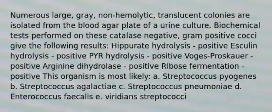 Numerous large, gray, non-hemolytic, translucent colonies are isolated from the blood agar plate of a urine culture. Biochemical tests performed on these catalase negative, gram positive cocci give the following results: Hippurate hydrolysis - positive Esculin hydrolysis - positive PYR hydrolysis - positive Voges-Proskauer - positive Arginine dihydrolase - positive Ribose fermentation - positive This organism is most likely: a. Streptococcus pyogenes b. Streptococcus agalactiae c. Streptococcus pneumoniae d. Enterococcus faecalis e. viridians streptococci