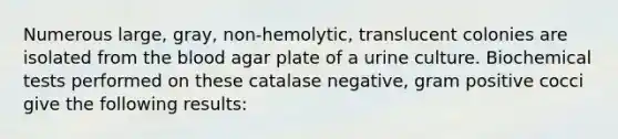 Numerous large, gray, non-hemolytic, translucent colonies are isolated from <a href='https://www.questionai.com/knowledge/k7oXMfj7lk-the-blood' class='anchor-knowledge'>the blood</a> agar plate of a urine culture. Biochemical tests performed on these catalase negative, gram positive cocci give the following results: