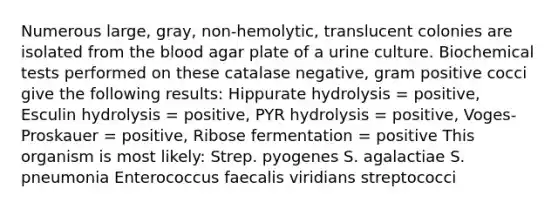 Numerous large, gray, non-hemolytic, translucent colonies are isolated from the blood agar plate of a urine culture. Biochemical tests performed on these catalase negative, gram positive cocci give the following results: Hippurate hydrolysis = positive, Esculin hydrolysis = positive, PYR hydrolysis = positive, Voges-Proskauer = positive, Ribose fermentation = positive This organism is most likely: Strep. pyogenes S. agalactiae S. pneumonia Enterococcus faecalis viridians streptococci