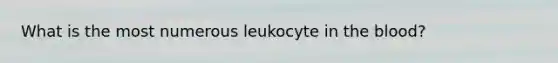 What is the most numerous leukocyte in the blood?