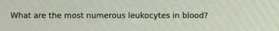 What are the most numerous leukocytes in blood?