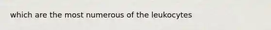 which are the most numerous of the leukocytes