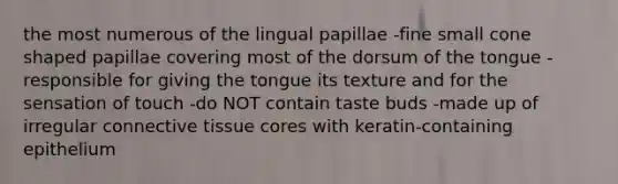 the most numerous of the lingual papillae -fine small cone shaped papillae covering most of the dorsum of the tongue -responsible for giving the tongue its texture and for the sensation of touch -do NOT contain taste buds -made up of irregular connective tissue cores with keratin-containing epithelium