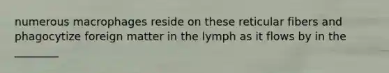 numerous macrophages reside on these reticular fibers and phagocytize foreign matter in the lymph as it flows by in the ________