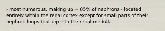 - most numerous, making up ~ 85% of nephrons - located entirely within the renal cortex except for small parts of their nephron loops that dip into the renal medulla