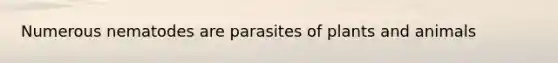 Numerous nematodes are parasites of plants and animals