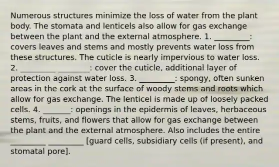 Numerous structures minimize the loss of water from the plant body. The stomata and lenticels also allow for gas exchange between the plant and the external atmosphere. 1. _________: covers leaves and stems and mostly prevents water loss from these structures. The cuticle is nearly impervious to water loss. 2. _________ ________: cover the cuticle, additional layer of protection against water loss. 3. _________: spongy, often sunken areas in the cork at the surface of woody stems and roots which allow for gas exchange. The lenticel is made up of loosely packed cells. 4. _______: openings in the epidermis of leaves, herbaceous stems, fruits, and flowers that allow for gas exchange between the plant and the external atmosphere. Also includes the entire _________ _________ [guard cells, subsidiary cells (if present), and stomatal pore].