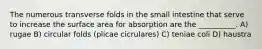 The numerous transverse folds in the small intestine that serve to increase the surface area for absorption are the __________. A) rugae B) circular folds (plicae cicrulares) C) teniae coli D) haustra