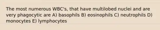 The most numerous WBC's, that have multilobed nuclei and are very phagocytic are A) basophils B) eosinophils C) neutrophils D) monocytes E) lymphocytes