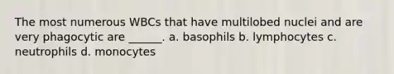 The most numerous WBCs that have multilobed nuclei and are very phagocytic are ______. a. basophils b. lymphocytes c. neutrophils d. monocytes