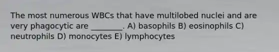 The most numerous WBCs that have multilobed nuclei and are very phagocytic are ________. A) basophils B) eosinophils C) neutrophils D) monocytes E) lymphocytes