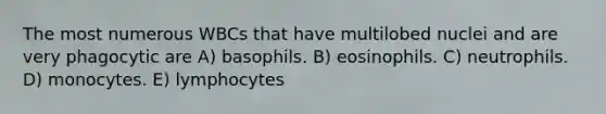 The most numerous WBCs that have multilobed nuclei and are very phagocytic are A) basophils. B) eosinophils. C) neutrophils. D) monocytes. E) lymphocytes