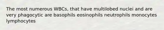 The most numerous WBCs, that have multilobed nuclei and are very phagocytic are basophils eosinophils neutrophils monocytes lymphocytes