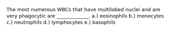 The most numerous WBCs that have multilobed nuclei and are very phagocytic are _____________. a.) eosinophils b.) monocytes c.) neutrophils d.) lymphocytes e.) basophils