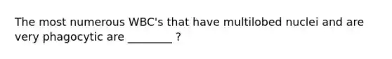 The most numerous WBC's that have multilobed nuclei and are very phagocytic are ________ ?