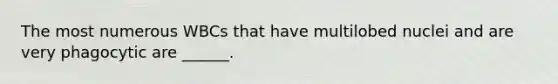 The most numerous WBCs that have multilobed nuclei and are very phagocytic are ______.
