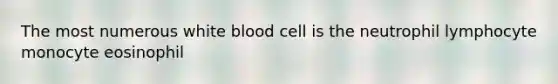 The most numerous white blood cell is the neutrophil lymphocyte monocyte eosinophil