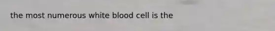 the most numerous white blood cell is the