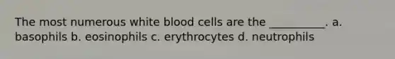 The most numerous white blood cells are the __________. a. basophils b. eosinophils c. erythrocytes d. neutrophils