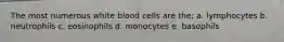 The most numerous white blood cells are the: a. lymphocytes b. neutrophils c. eosinophils d. monocytes e. basophils