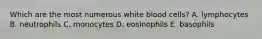 Which are the most numerous white blood cells? A. lymphocytes B. neutrophils C. monocytes D. eosinophils E. basophils
