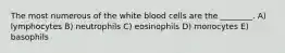 The most numerous of the white blood cells are the ________. A) lymphocytes B) neutrophils C) eosinophils D) monocytes E) basophils