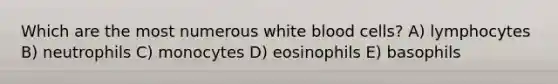 Which are the most numerous white blood cells? A) lymphocytes B) neutrophils C) monocytes D) eosinophils E) basophils