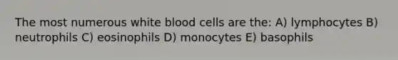 The most numerous white blood cells are the: A) lymphocytes B) neutrophils C) eosinophils D) monocytes E) basophils