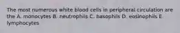 The most numerous white blood cells in peripheral circulation are the A. monocytes B. neutrophils C. basophils D. eosinophils E. lymphocytes