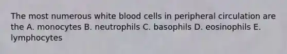 The most numerous white blood cells in peripheral circulation are the A. monocytes B. neutrophils C. basophils D. eosinophils E. lymphocytes