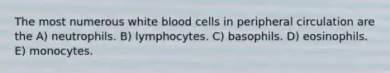 The most numerous white blood cells in peripheral circulation are the A) neutrophils. B) lymphocytes. C) basophils. D) eosinophils. E) monocytes.