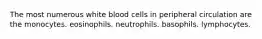 The most numerous white blood cells in peripheral circulation are the monocytes. eosinophils. neutrophils. basophils. lymphocytes.