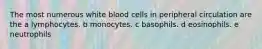 The most numerous white blood cells in peripheral circulation are the a lymphocytes. b monocytes. c basophils. d eosinophils. e neutrophils