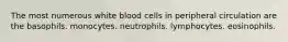 The most numerous white blood cells in peripheral circulation are the basophils. monocytes. neutrophils. lymphocytes. eosinophils.