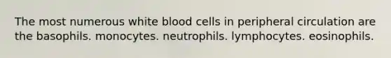 The most numerous white blood cells in peripheral circulation are the basophils. monocytes. neutrophils. lymphocytes. eosinophils.