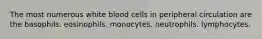 The most numerous white blood cells in peripheral circulation are the basophils. eosinophils. monocytes. neutrophils. lymphocytes.